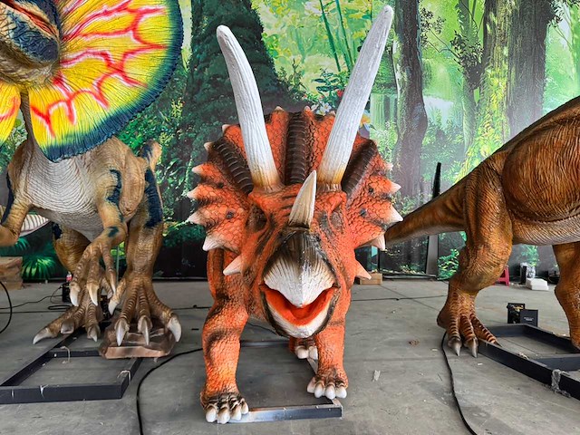 Rhino-cross-dino - rad-020 - dinosaurus triceratops 4 meter - afbeelding 2 van  9