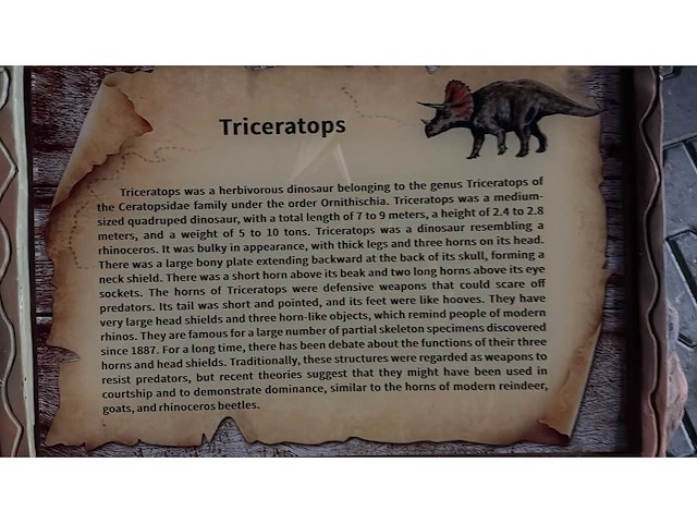 Rhino-cross-dino - rad-020 - dinosaurus triceratops 4 meter - afbeelding 6 van  9