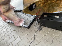 Rhino-cross-dino - rad-021 - dinosaurus ouranosaurus 5 meter - afbeelding 8 van  8