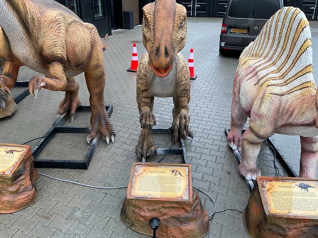 Rhino-cross-dino - rad-021 - dinosaurus parasaurolophus 4 meter - afbeelding 7 van  8