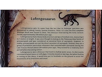 Rhino-cross-dino - rad-023 - dinausaurus iufengosaurus 6 meter - afbeelding 5 van  8