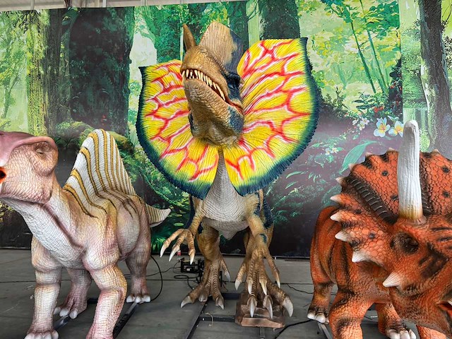 Rhino-cross-dino - rad-026 - dinausaurus dilophosaurus(met add-ons) 5 meter - afbeelding 3 van  7