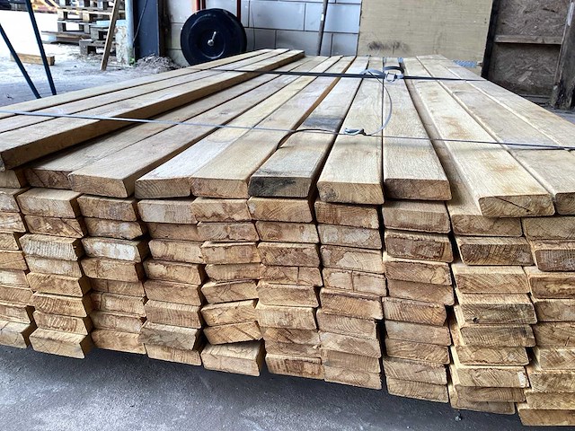 Rhombus plank eik, europees (145x) - afbeelding 2 van  2