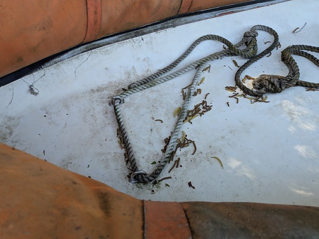 Rib boot bolero 340 pc, bouwjaar 1987 - afbeelding 2 van  12