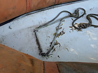 Rib boot bolero 340 pc, bouwjaar 1987 - afbeelding 2 van  12