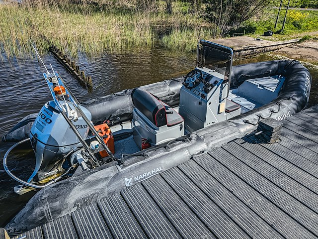 Rib boot, narwhal, hd 580, met buitenboordmotor, honda bf100 op boottrailer, pega 1150 - afbeelding 50 van  54