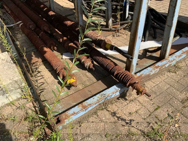 Ribbenbuis in stelling - afbeelding 4 van  10
