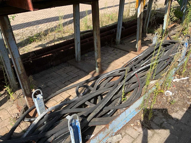 Ribbenbuis in stelling - afbeelding 10 van  10