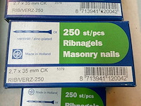 Ribnagels en regenagels (40x) - afbeelding 3 van  5