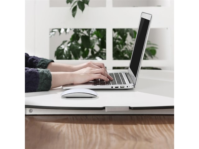 Riccoo bureauopzetstuk, in hoogte verstelbaar, ergonomisch sta-bureau - afbeelding 4 van  6