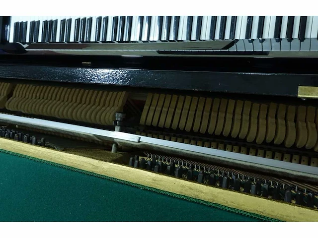 Rich weber - piano - afbeelding 5 van  5