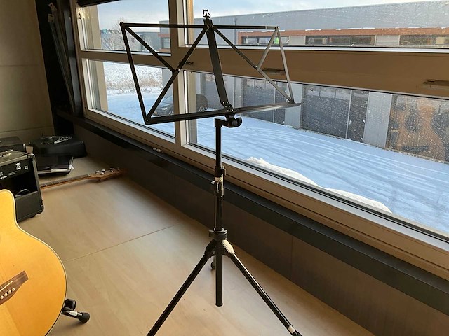 Richwood artist series gitaar - afbeelding 3 van  12