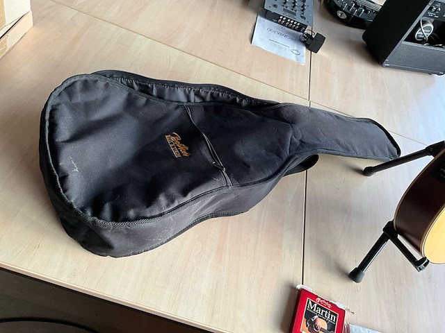 Richwood artist series gitaar - afbeelding 4 van  12