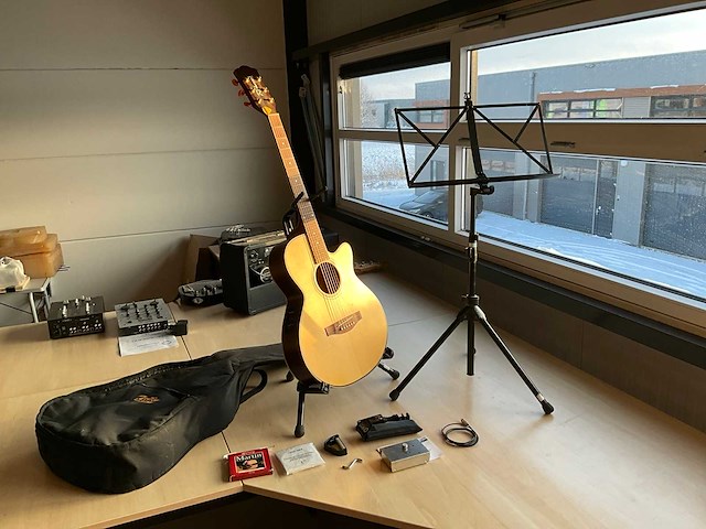 Richwood artist series gitaar - afbeelding 1 van  12