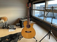 Richwood artist series gitaar - afbeelding 5 van  12