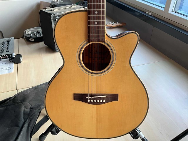 Richwood artist series gitaar - afbeelding 6 van  12