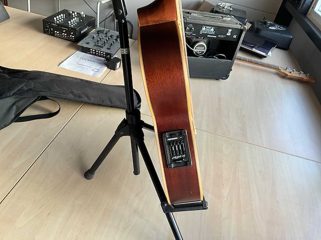 Richwood artist series gitaar - afbeelding 7 van  12