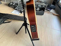 Richwood artist series gitaar - afbeelding 7 van  12