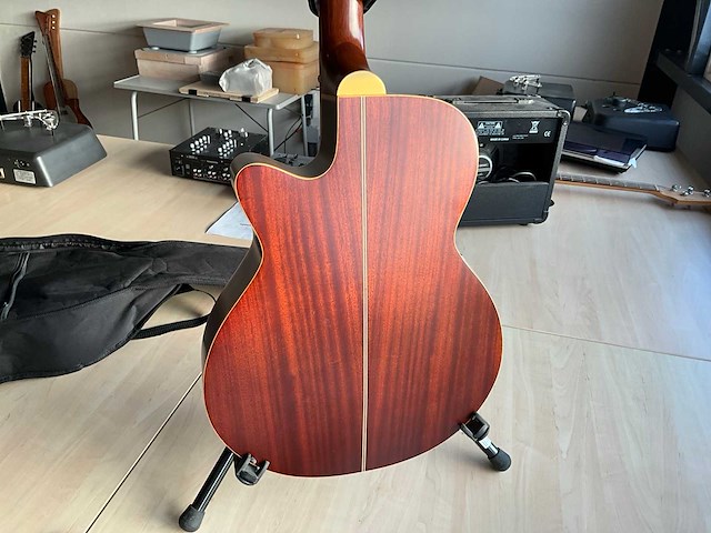 Richwood artist series gitaar - afbeelding 10 van  12