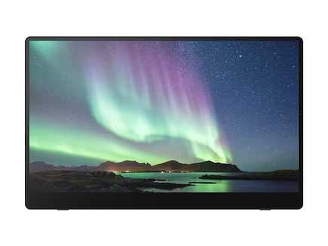 Ricoh portable monitor 150bw - afbeelding 1 van  5