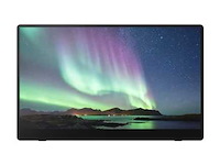 Ricoh portable monitor 150bw - afbeelding 1 van  5