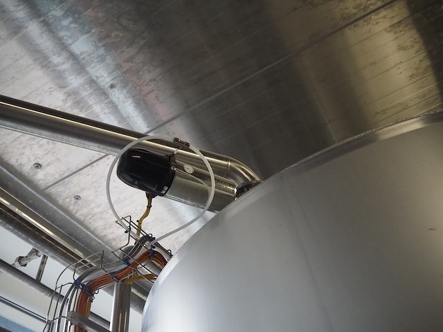 Rieger - afbeelding 7 van  11