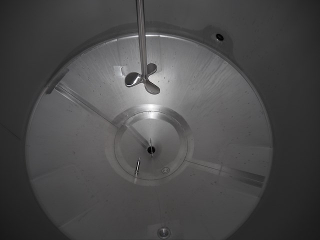 Rieger - afbeelding 10 van  10