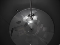 Rieger - afbeelding 2 van  9