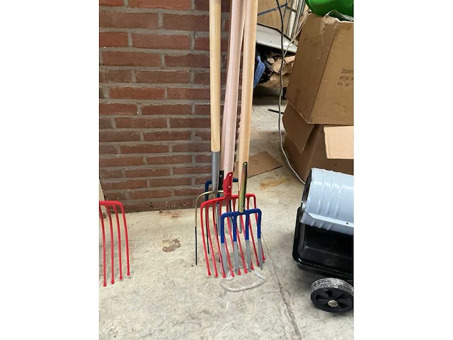 Riek (4x) - afbeelding 2 van  4