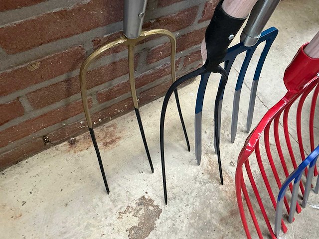 Riek (4x) - afbeelding 4 van  4