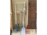 Riek (8x) - afbeelding 3 van  3