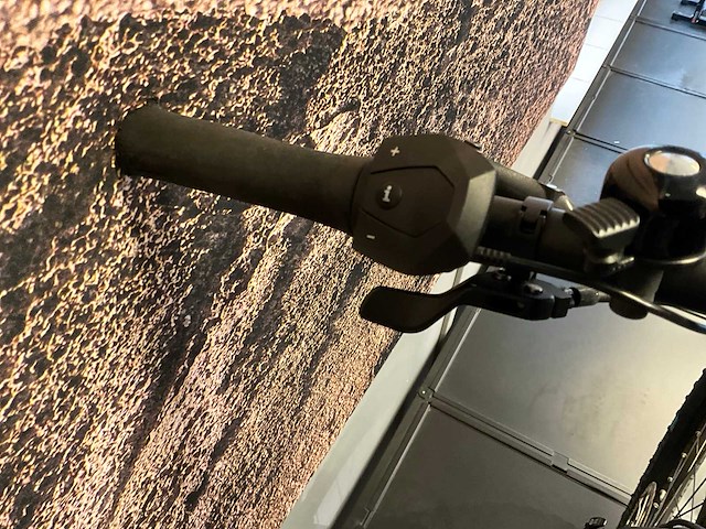 Riese & müller delite mountain 500 elektrische mountainbike - 51cm - afbeelding 15 van  15