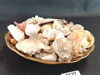 Rieten mand met schelpen - afbeelding 1 van  5