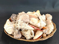 Rieten mand met schelpen - afbeelding 4 van  5