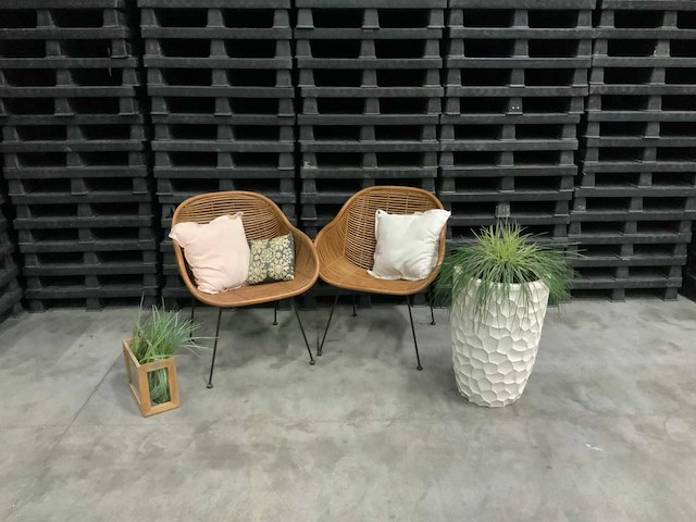 Rieten stoel (2x) - afbeelding 1 van  5