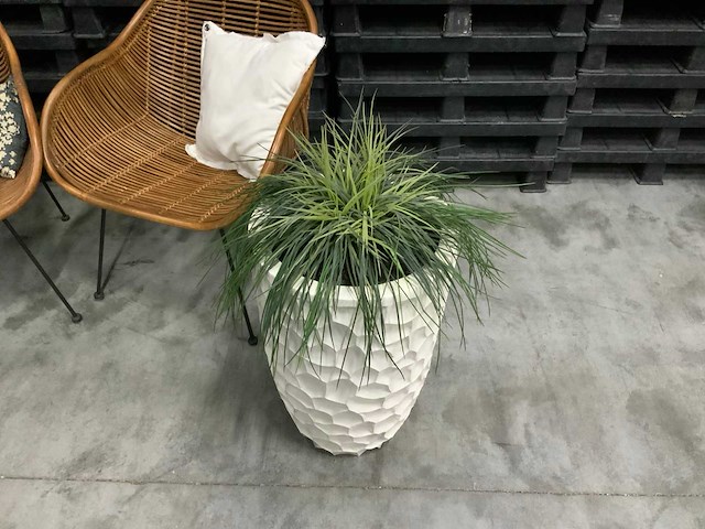 Rieten stoel (2x) - afbeelding 2 van  5