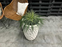 Rieten stoel (2x) - afbeelding 2 van  5