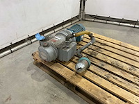 Rietsche - clfg 41v - pomp - afbeelding 1 van  7