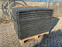 Rijplaat (35x)