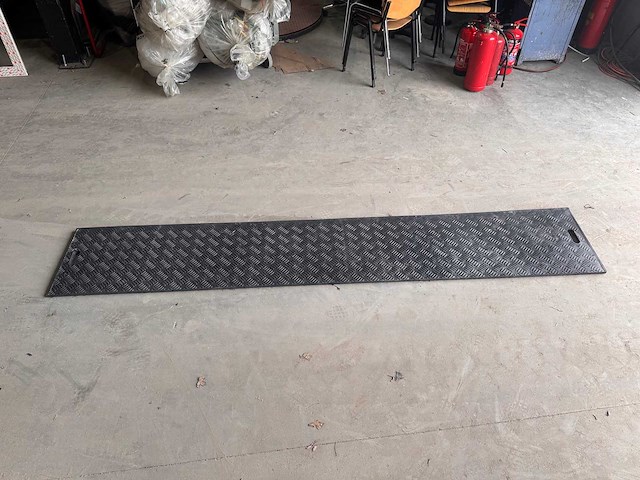 Rijplaat (50x) - afbeelding 2 van  4