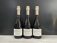 Rimarts uvae 2011 (3x) - afbeelding 1 van  3