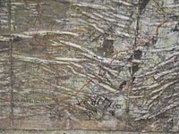 Rinaldo pontello - afbeelding 6 van  8