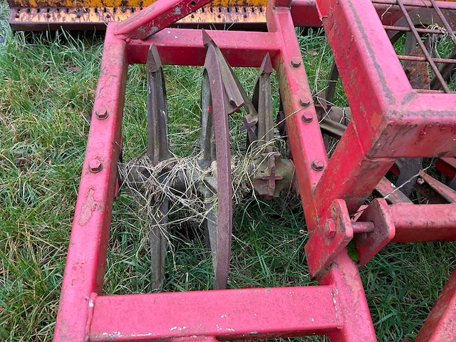 Ringwals - afbeelding 6 van  6