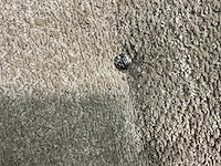 Rivièra maison wales 170 fauteuil - afbeelding 2 van  12