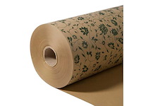 Rl 50gr kraft 60cm lorena green(400m) (97x) - afbeelding 1 van  1