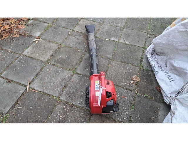 Robin - fl 251 - bladblazer - afbeelding 2 van  4