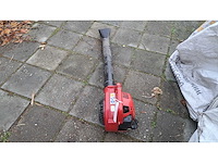 Robin - fl 251 - bladblazer - afbeelding 2 van  4