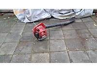 Robin - fl 251 - bladblazer - afbeelding 3 van  4