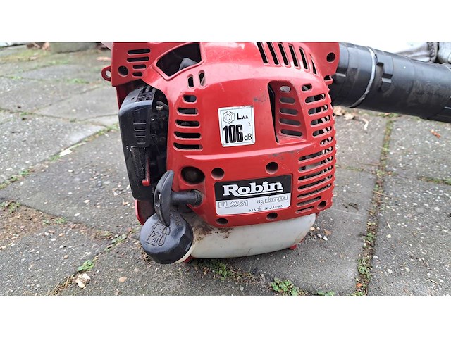 Robin - fl 251 - bladblazer - afbeelding 4 van  4