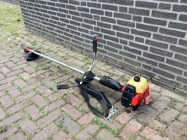 Robin nb411 bosmaaier - afbeelding 1 van  5